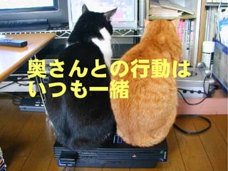 奥さんとの
奥さんとの行動は
 行動はだいたい
いつも一緒
 いつも一緒
 