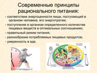 Современные принципы рационального питания: - соответствие энергоценности пищи, поступающей в организм человека, его энерготратам; - поступление в организм определенного количества пищевых веществ в оптимальных соотношениях; - правильный режим питания; - разнообразие потребляемых пищевых продуктов; - умеренность в еде. 
