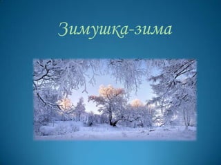 Зимушка-зима
 