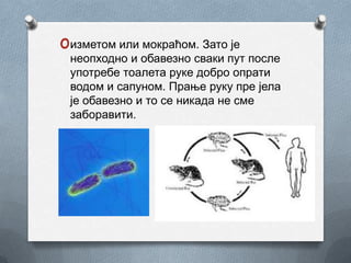 oизметом или мокраћом. Зато је
 неопходно и обавезно сваки пут после
 употребе тоалета руке добро опрати
 водом и сапуном. Прање руку пре јела
 је обавезно и то се никада не сме
 заборавити.
 
