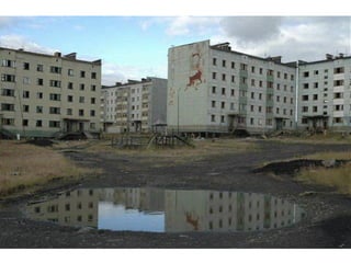 Илья Лежава