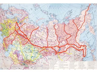 Илья Лежава