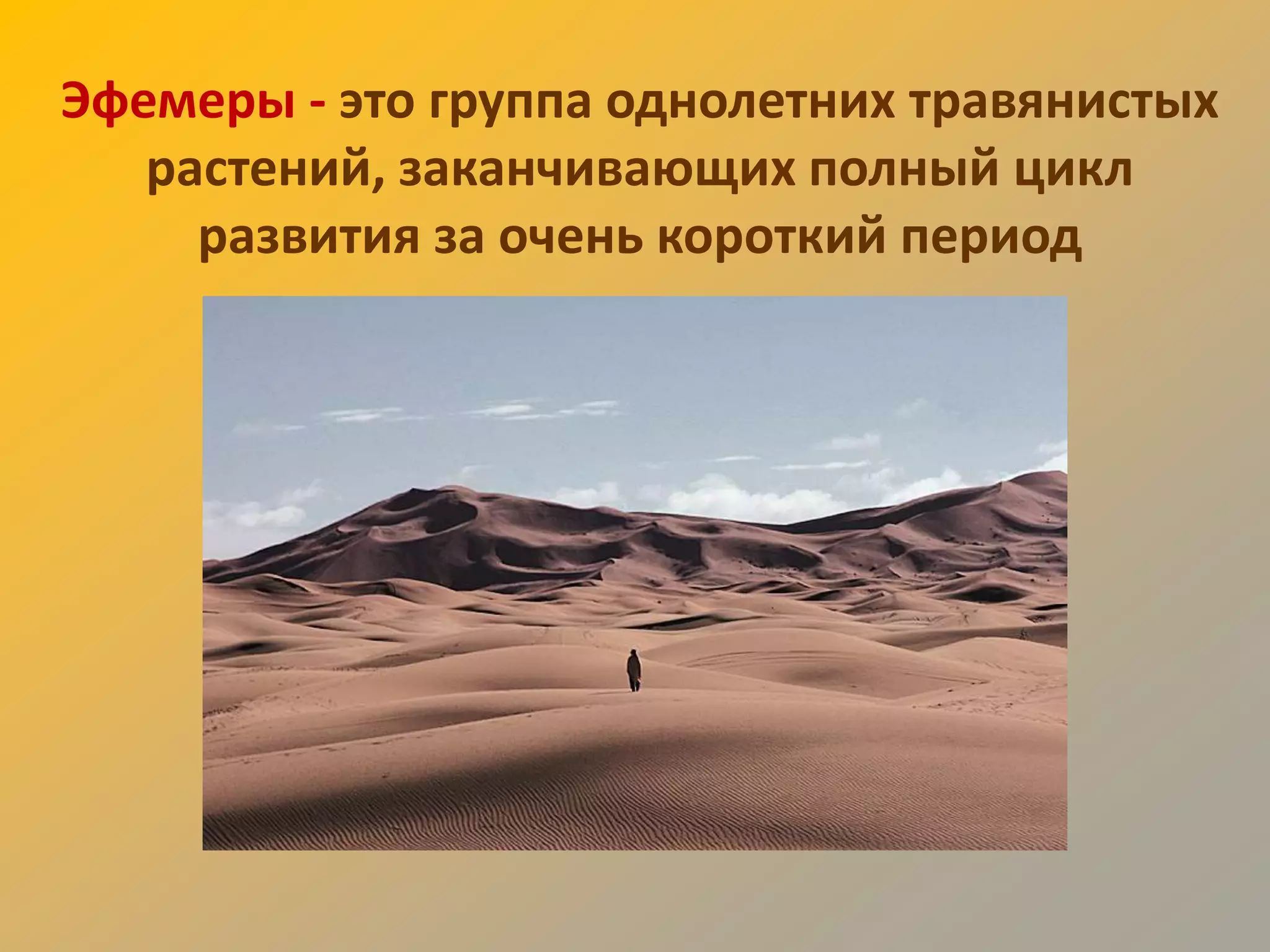 Эфемеры - это группа однолетних травянистых
   растений, заканчивающих полный цикл
     развития за очень короткий период
 