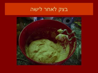 בצק לאחר לישה 