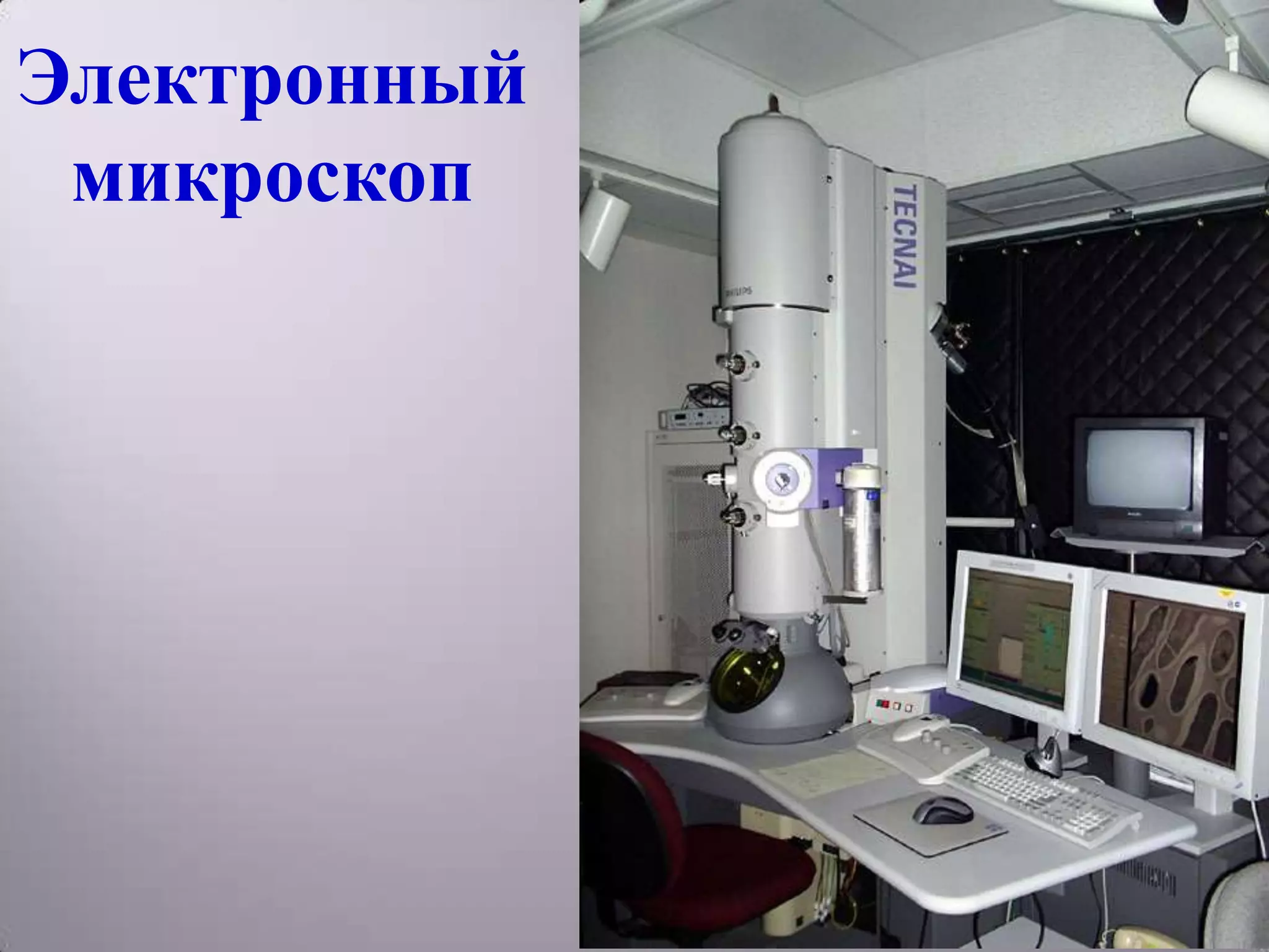 Электронный
 микроскоп
 