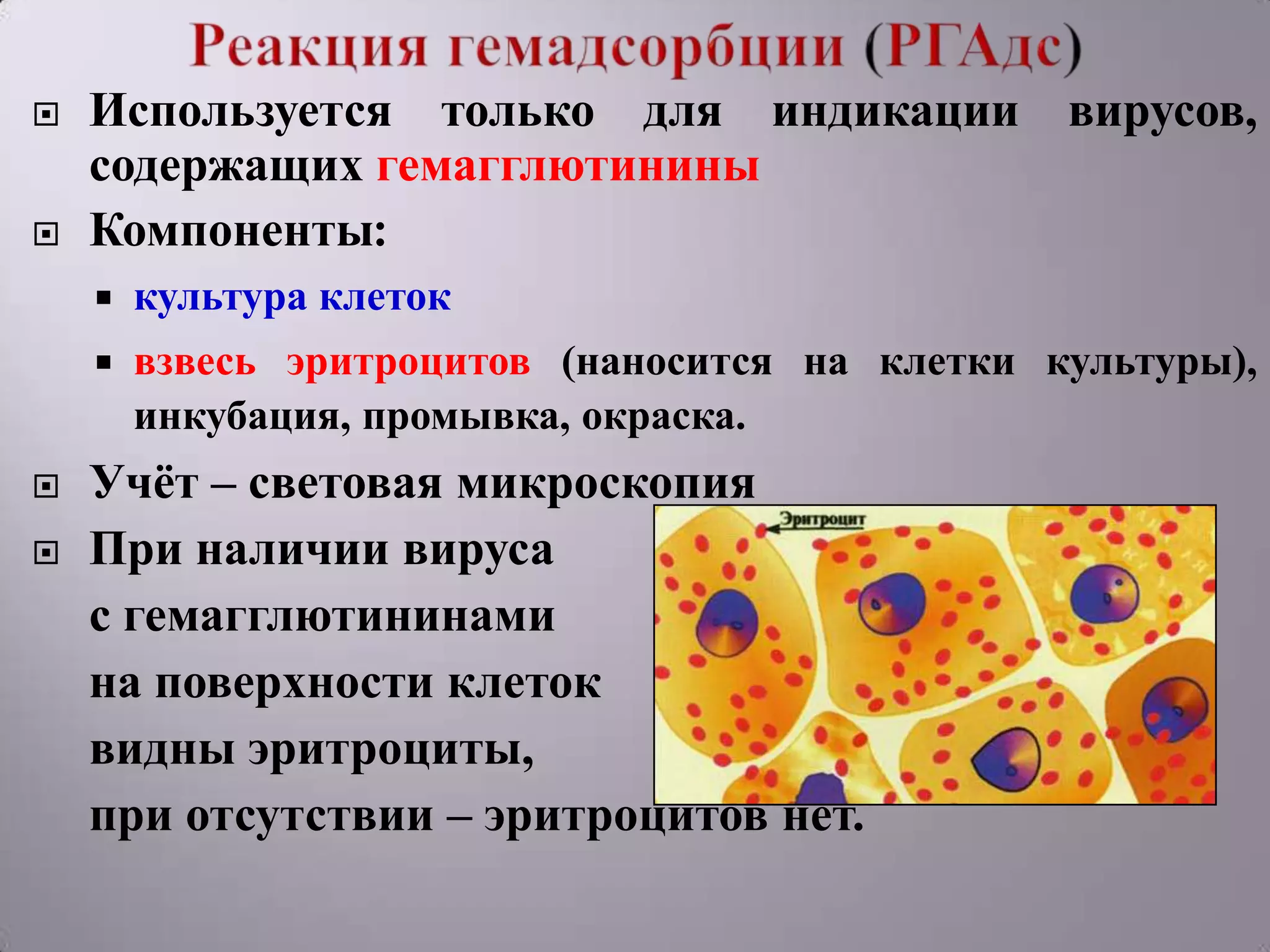    Используется только для индикации вирусов,
    содержащих гемагглютинины
   Компоненты:
       культура клеток
       взвесь эритроцитов (наносится на клетки культуры),
        инкубация, промывка, окраска.
   Учѐт – световая микроскопия
   При наличии вируса
    с гемагглютининами
    на поверхности клеток
    видны эритроциты,
    при отсутствии – эритроцитов нет.
 