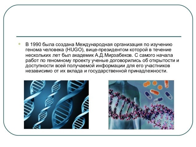 Схема генома человека