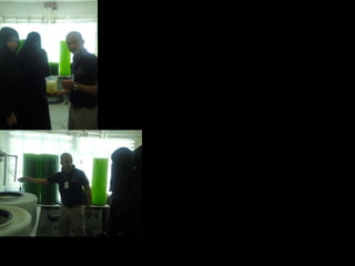 قدمنا لكم  دورة :هواةتربيةالاسماك بالمنازل اعداد : راويه الكفيف  دانة الشامري هناء العصفور المقرر : اساليب تقنيات الدكتورة : خلود النجار.  