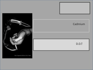 Cadmium




 D.D.T
 