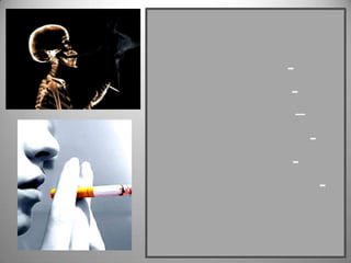 -
 -
  –
      -
-
          -
 