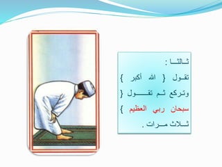 ‫ثــالثـــا‬:
‫تقــول‬{‫هللا‬‫أكبر‬}
‫وتـركع‬‫ثــم‬‫تقـــــــول‬{
‫سبحان‬‫ربي‬‫العظيم‬}
‫ثـــالث‬‫مـــرات‬.
 