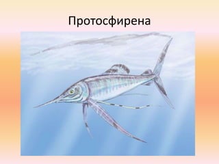 Протосфирена
 