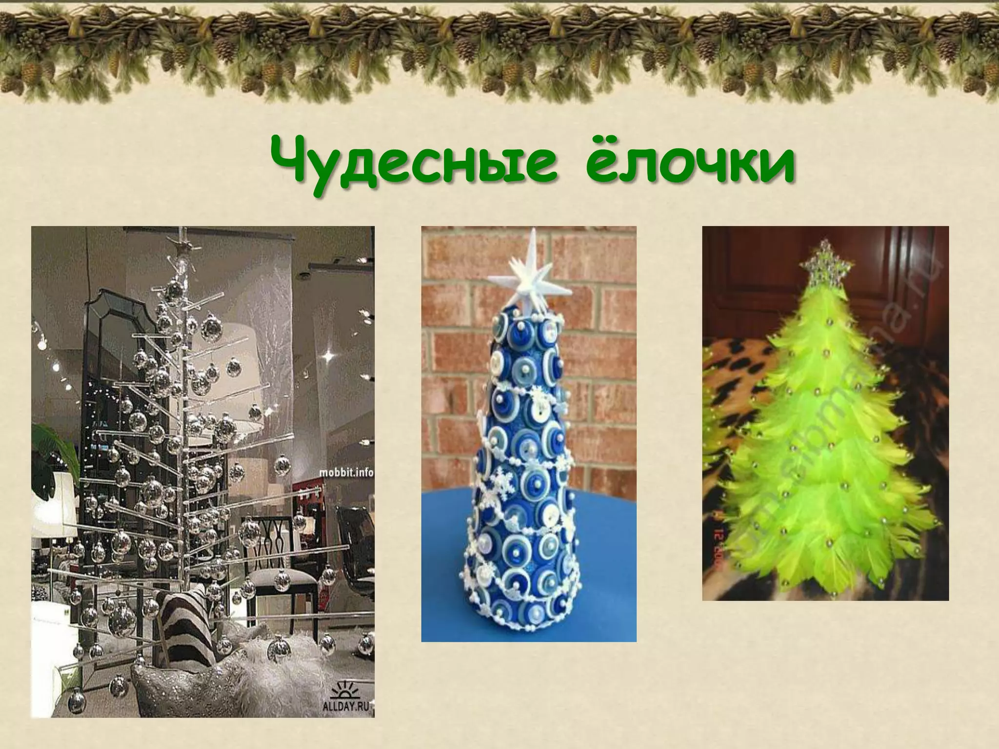 Чудесные ѐлочки
 