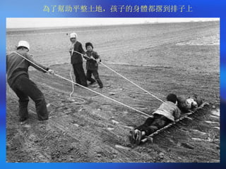 為了幫助平整土地，孩子的身體都撂到排子上 