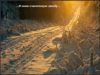 ...И свою счастливую звезду.... 