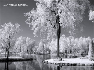 ... И черно-белой.... 