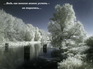 ....Ведь как многое можно успеть –  не торопясь.... 