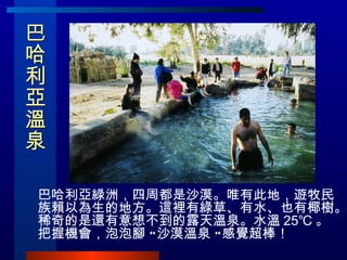 巴哈利亞溫泉  巴哈利亞綠洲，四周都是沙漠。唯有此地，遊牧民族賴以為生的地方。這裡有綠草、有水、也有椰樹。稀奇的是還有意想不到的露天溫泉。水溫 25℃ 。把握機會，泡泡腳 ”沙漠溫泉 ”感覺超棒！ 