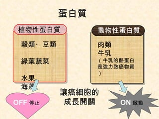 動物 性蛋白質 植物 性蛋白質 穀類・豆類　　 緑葉 蔬 菜　　 水 果　　 海藻 （ 牛乳的酪蛋白是強力致癌物質 ） 肉類 牛乳 蛋白 質 OFF 停止 ON 啟動 讓癌 細胞 的 成長 開關 