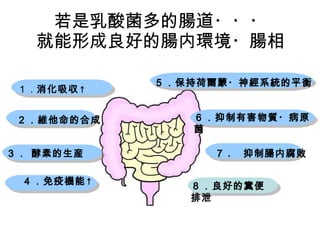 若是 乳酸菌多 的 腸 道 ・・・ 就能形成 良 好的 腸内環境・腸相 ４．免疫機能↑ ６．抑制有害物質・病原菌 ３．  酵素的 生産 ８． 良好的糞 便排泄 １． 消化吸 収 ↑ ７ . 　抑制腸内腐敗 ２． 維他命的 合成 ５．保持荷爾蒙・神經系統的平衡 
