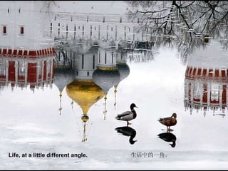 Life, at a little different angle.   喀什噶爾的輝煌說明詞 生活中的一角。 