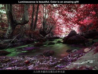 喀什噶爾的輝煌說明詞 Luminescence is beautiful. Color is an amazing gift!   大自然奉獻的美麗色彩和光影 