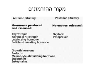 מקור ההורמונים 