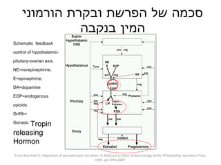 סכמה של הפרשת ובקרת הורמוני המין בנקבה  Schematic  feedback control of hypothalamic-pituitary-ovarian axis. NE=norepinephrine, E=epinephrine, DA=dopamine EOP=endogenous opioids. GnRh= Gonado  Tropin releasing Hormon From Marshall JC: Regulation of gonadotropin secretion. In DeGroot LJ (Eds): Endocrinology (ed3). Philadelphia, Saunders Press, 1995. pp 1993-2007  