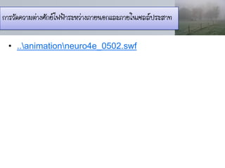 การวัดความต่างศักย์ไฟฟ้าระหว่างภายนอกและภายในเซลล์ประสาท

  • ..animationneuro4e_0502.swf
 