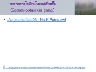 กระบวนการโซเดียมโพแทสเซียมปัม
                                    ๊
         (Sodium-potassium pump)
• ..animationbio03 - Na-K Pump.swf




ที่มา   http://www.kruchay.com/animation/raven7/bio03%20-%20Na-K%20Pump.swf
 