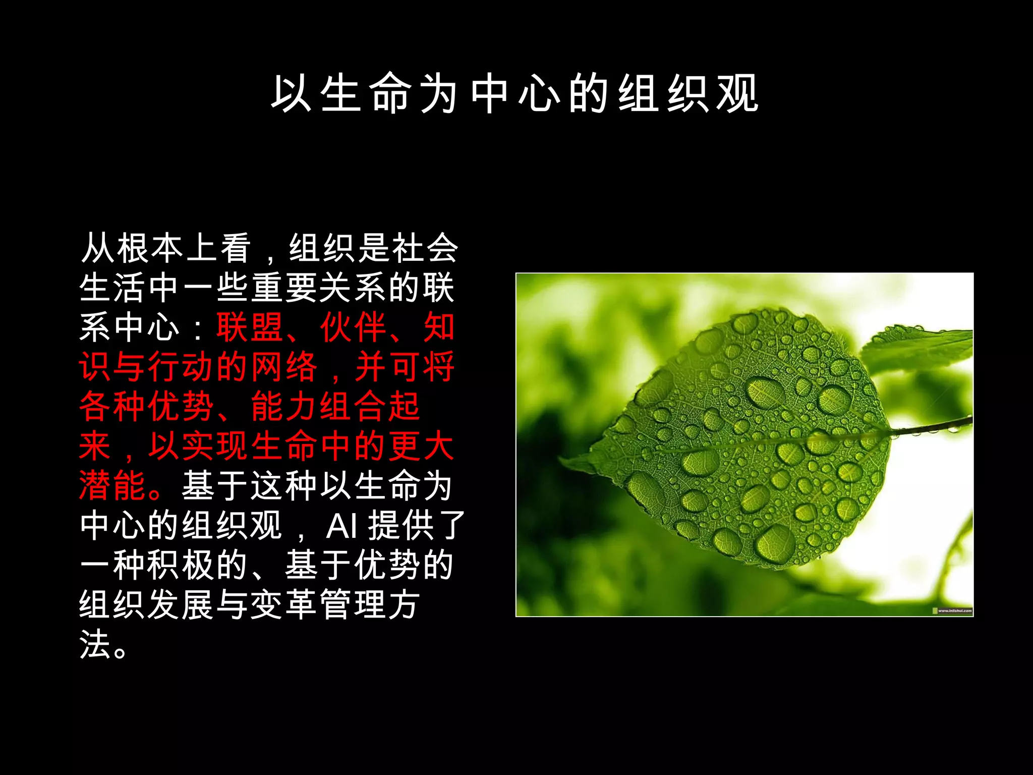 以生命为中心的组织观 从根本上看，组织是社会生活中一些重要关系的联系中心： 联盟、伙伴、知识与行动的网络，并可将各种优势、能力组合起来，以实现生命中的更大潜能。 基于这种以生命为中心的组织观， AI 提供了一种积极的、基于优势的组织发展与变革管理方法。 