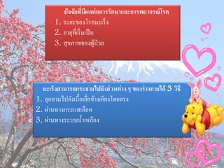 ปัจจัยที่มผลต่ อการรักษาและการพยากรณ์ โรค
                        ี
       1. ระยะของโรคมะเร็ ง
       2. อายุที่เริ่ มเป็ น
       3. สุ ขภาพของผูป่วย   ้




  มะเร็งสามารถกระจายไปยังส่ วนต่ าง ๆ ของร่ างกายได้ 3 วิธี
1. ลุกลามไปยังเนื้อเยือข้างเคียงโดยตรง
                      ่
2. ผ่านทางกระแสเลือด
3. ผ่านทางระบบน้ าเหลือง
 