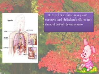 3. ระยะที่ 3 มะเร็ งขนาดต่าง ๆ มีการ
กระจายของมะเร็ งไปยังต่อมน้ าเหลืองทรวงอก
ด้านตรงข้าม เยือหุมปอดหลอดลมคอ
               ่ ้
 