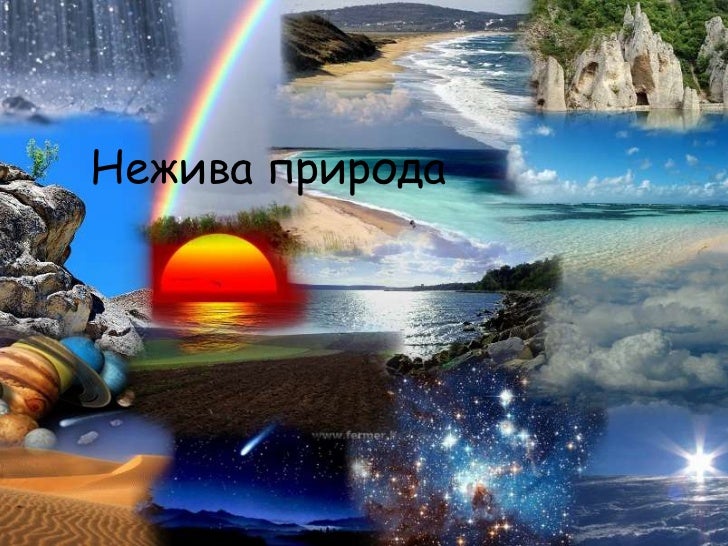 Природата около нас