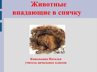 Животные впадающие в спячку  Ковалькова Наталья учитель начальных классов  