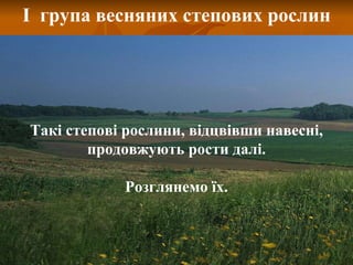 І  група весняних степових рослин Такі степові рослини, відцвівши навесні, продовжують рости далі. Розглянемо їх. 