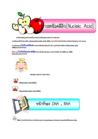 2

                       (deoxyribonucleic acid, DNA )       DNA

                                                                   (ribonucleic acid
,RNA)

RNA                                                              DNA    RNA




                        Nucleic acid     2




         - Ribonucleic acid (RNA)




         - Deoxyribonucleic acid (DNA)




        DNA
 