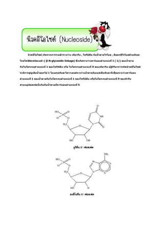 ,       ,

    β-N-glycosidic linkage)               1 ( 1/)

    1                                 9

        1

1                        1                    9

                              5
 