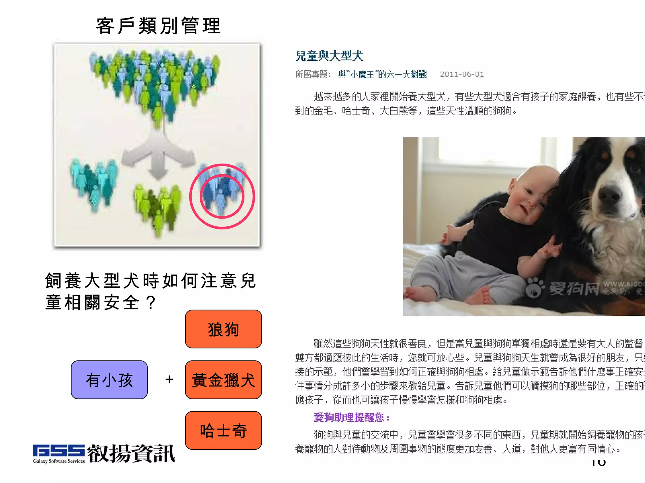 客戶類別管理 有小孩 狼狗 飼養大型犬時如何注意兒童相關安全？ 黃金獵犬 哈士奇 ＋ 