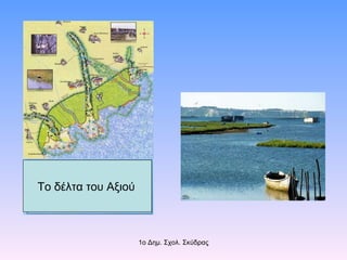 Το δέλτα του Αξιού   