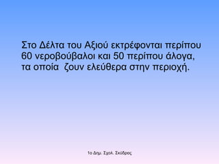 Στο Δέλτα του Αξιού εκτρέφονται περίπου 60 νεροβούβαλοι και 50 περίπου άλογα, τα οποία  ζουν ελεύθερα στην περιοχή.  