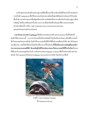 17

         ดารวินพยายามหาคําอธิบายปรากฏการณที่เกิดขึ้นและไดแนวคิดวาสิ่งมีชีวิตเหลานี้นาจะเกิดจาก
    การปรับตัว (adaptation) เพื่อใหเหมาะสมกับสภาพแวดลอมที่อยูอาศัยที่แตกตางกันออกไปในแตละ
    พื้นที่ เชน ขนาดปากของนกฟนสดูเหมือนจะมีความสัมพันธกับอาหารที่นกกินในแตละหมูเกาะที่นก
    อาศัยอยู โดยสิ่งแวดลอมเหลานี้ (เชน อาหาร) จะเปนตัวคัดเลือกลักษณะที่มีความเหมาะสมตอ
    สภาพแวดลอมนั้นๆ (ที่มา : http://cyberclass.msu.ac.th/cyberclass/cyberclass-
    uploads/libs/html/44079/u106.html)

        กาลาปากอส มาจากคําวา galapago ซึ่งเปนภาษาสเปนหมายถึง เตาบก (tortoise) ซึ่งก็คือสัตวที่
พบห็นไดมากบนเกาะนี้ เกาะกาลาปากอสนั้นมีสภาพโดยทั่วไปแหงแลงและกันดาร เปนที่ที่กระแสน้ํา
เย็นไหลมาพบกับกระแสน้ําอุน จึงทําใหสามารถพบสิ่งมีชีวิตไดทั้งประเภทที่ชอบน้ําเย็น เชน สิงโตทะเล
และเพ็นกวิน รวมทั้งสัตวที่ชอบน้ําอุนก็หาไดบนเกาะนี้อีกเชนกัน ที่นี่จึงเปนแหลงรวมพันธุพืชและสัตว
จํานวนมากหลากหลายสปชีส มีสายพันธุสิ่งมีชีวิตแปลกๆ แทบจะไมสามารถพบไดที่ไหนในโลก ทั้งแบบ
ที่เชื่องนารัก และมองดูดรายนากลัว อาทิ เตากระดอง (Galapagos Tortoise) ที่มีน้ําหนักมากถึง 200-500
ปอนด กิ่งกา (iguana) สิงโตทะเล (Galapagos Sea-lion)นกนานาชนิด โดยเฉพาะนกฟนซ




                                  ภาพที่ 2 Giant Galapagos tortoises
                                      ที่มา progresoverde.org
 