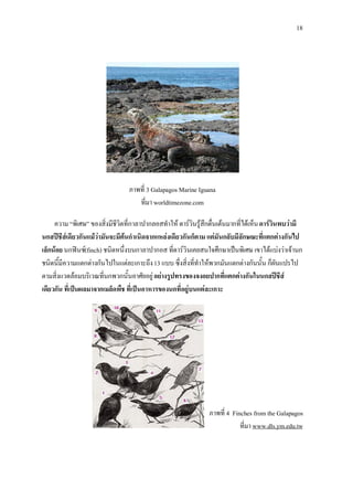 18




                                 ภาพที่ 3 Galapagos Marine Iguana
                                    ที่มา worldtimezone.com

     ความ “พิเศษ” ของสิ่งมีชีวิตที่กาลาปากลอสทําให ดารวินรูสึกตื่นเตนมากที่ไดเห็น ดารวินพบวามี
นกสปชีสเ ดียวกันแมวามันจะมีตนกําเนิดจากแหลงเดียวกันก็ตาม แตมันกลับมีลักษณะที่แตกตางกันไป
เล็กนอย นกฟนช(finch) ชนิดหนึ่งบนกาลาปากอส ที่ดารวินเคยสนใจศึกษาเปนพิเศษ เขาไดแบงวาเจานก
ชนิดนี้มีความแตกตางกันไปในแตละเกาะถึง 13 แบบ ซึ่งสิ่งที่ทําใหพวกมันแตกตางกันนั้น ก็ผันแปรไป
ตามสิ่งแวดลอมบริเวณที่นกพวกนั้นอาศัยอยู อยางรูปทรงของจงอยปากที่แตกตางกันในนกสปชีส
เดียวกัน ที่เปนผลมาจากเมล็ดพืช ที่เปนอาหารของนกที่อยูบนแตละเกาะ




                                                                ภาพที่ 4 Finches from the Galapagos
                                                                            ที่มา www.dls.ym.edu.tw
 