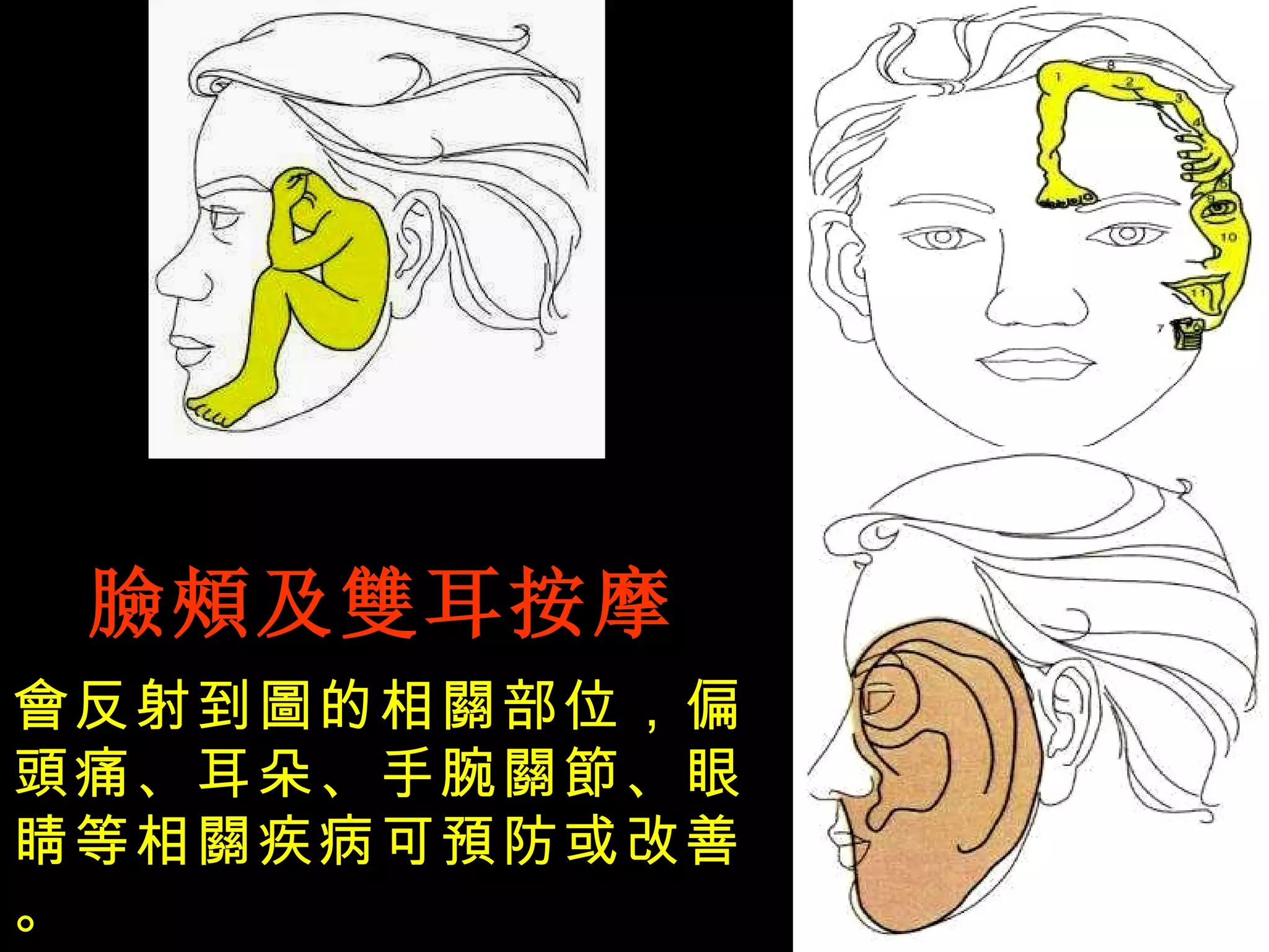 臉頰及雙耳按摩 會反射到圖的相關部位，偏頭痛、耳朵、手腕關節 、 眼睛等相關疾病可預防或改善。 