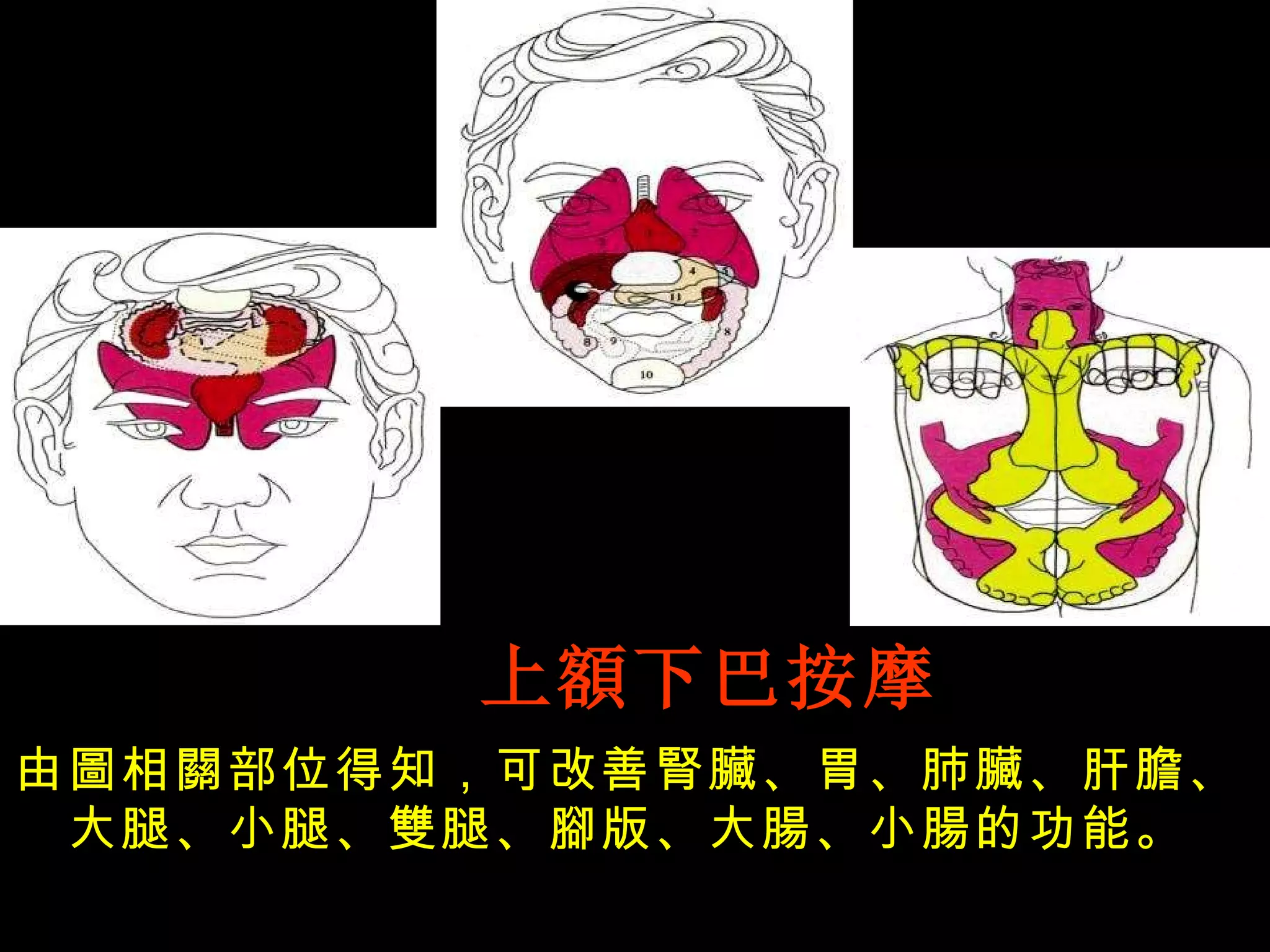 上額下巴按摩 由圖相關部位得知，可改善腎臟、胃、肺臟、肝膽、大腿、小腿、雙腿、腳版、大腸、小腸的功能。 