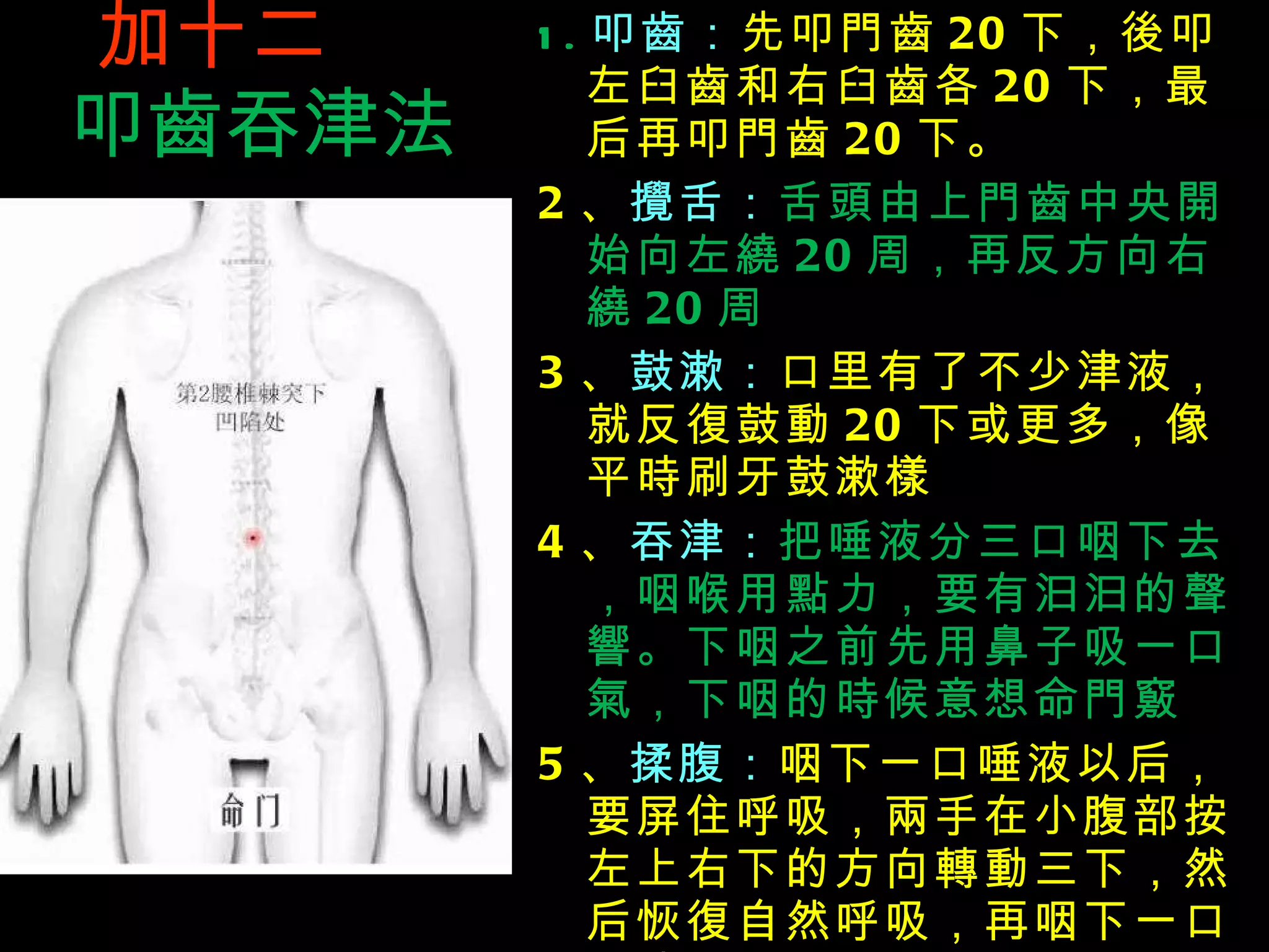加十二  叩 齒 吞 津法 1. 叩 齒 ： 先叩 門齒 20 下， 後 叩左臼 齒 和右臼 齒 各 20 下，最后再叩 門齒 20 下。 2 、 攪 舌： 舌 頭 由上 門齒 中央 開 始向左 繞 20 周，再反方向右 繞 20 周 3 、 鼓漱： 口里有了不少津液，就反 復 鼓 動 20 下或更多，像平 時 刷牙鼓漱 樣 4 、 吞津： 把唾液分三口咽下去，咽喉用 點 力，要有汩汩的 聲響 。下咽之前先用鼻子吸一口 氣 ，下咽的 時 候意想命 門竅 5 、 揉腹： 咽下一口唾液以后，要屏住呼吸， 兩 手在小腹部按左上右下的方向 轉動 三下，然后恢 復 自然呼吸，再咽下一口唾液。 