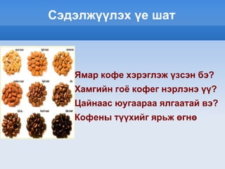 Сэдэлжүүлэх үе шат



      Ямар кофе хэрэглэж үзсэн бэ?
      Хамгийн гоѐ кофег нэрлэнэ үү?
      Цайнаас юугаараа ялгаатай вэ?
      Кофены түүхийг ярьж өгнө
 