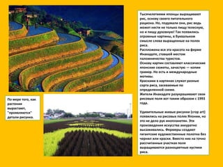 Тысячелетиями японцы выращивают рис, основу своего питательного рациона. Но, подумали они, рис ведь может нести не только пищу телесную, но и пищу духовную! Так появились огромные картины, в буквальном смысле слова выращенные на полях риса. Распложена вся эта красота на ферме Инакадате, ставшей местом паломничества туристов. Основу картин составляют классические японские сюжеты, зачастую — копии гравюр. Но есть и международные мотивы.  Красками в картинах служат разные сорта риса, засеваемые по определенной схеме. Жители Инакадате разукрашивают свои рисовые поля вот таким образом с 1993 года.  Удивительные живые рисунки (crop art) появились на рисовых полях Японии, но это не дело рук инопланетян. Эти произведения искусства аккуратно высаживались. Фермеры создают гигантские художественные полотна без чернил или краски. Вместо них на точно рассчитанных участках поля выращиваются разноцветные кустики риса.  По мере того, как растения вырастают, "проявляются" детали рисунка.  