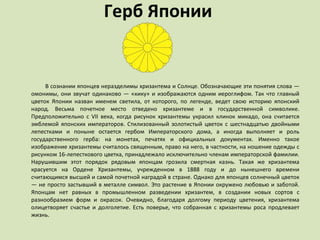 Герб Японии В сознании японцев неразделимы хризантема и Солнце. Обозначающие эти понятия слова — омонимы, они звучат одинаково — «кику» и изображаются одним иероглифом. Так что главный цветок Японии назван именем светила, от которого, по легенде, ведет свою историю японский народ. Весьма почетное место отведено хризантеме и в государственной символике. Предположительно с VII века, когда рисунок хризантемы украсил клинок микадо, она считается эмблемой японских императоров. Стилизованный золотистый цветок c шестнадцатью двойными лепестками и поныне остается гербом Императорского дома, а иногда выполняет и роль государственного герба: на монетах, печатях и официальных документах. Именно такое изображение хризантемы считалось священным, право на него, в частности, на ношение одежды с рисунком 16-лепесткового цветка, принадлежало исключительно членам императорской фамилии. Нарушившим этот порядок рядовым японцам грозила смертная казнь. Такая же хризантема красуется на Ордене Хризантемы, учрежденном в 1888 году и до нынешнего времени считающимся высшей и самой почетной наградой в стране. Однако для японцев солнечный цветок — не просто застывший в металле символ. Это растение в Японии окружено любовью и заботой. Японцам нет равных в промышленном разведении хризантем, в создании новых сортов с разнообразием форм и окрасок. Очевидно, благодаря долгому периоду цветения, хризантема олицетворяет счастье и долголетие. Есть поверье, что собранная с хризантемы роса продлевает жизнь.    
