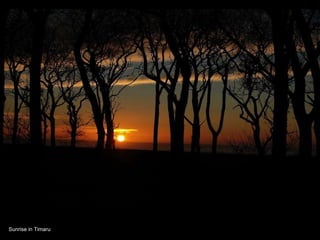 Sunrise in Timaru 